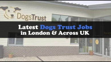 Dogs Trust Jobs